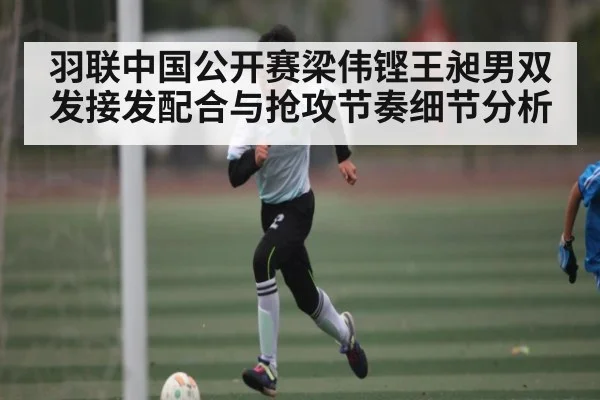 羽联中国公开赛梁伟铿王昶男双发接发配合与抢攻节奏细节分析